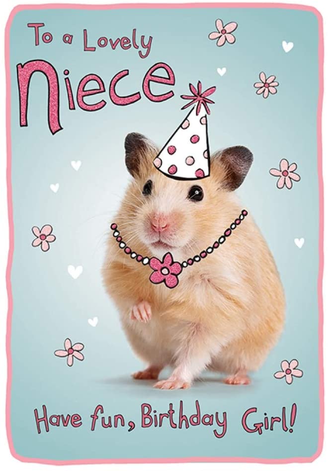 Lovely Niece Cute Hamster Doodle Hat Birthday Girl Glitter Finish Greeting Card By Piccadilly 