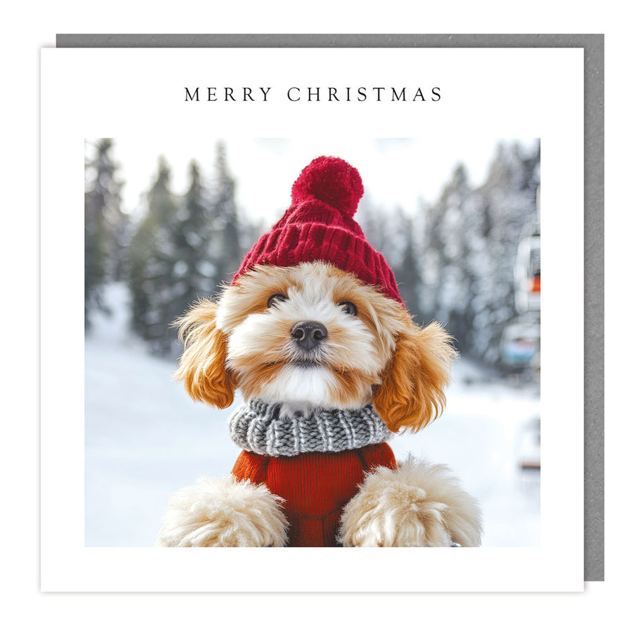 Tracks Christmas card with a puppy in a red knitted hat