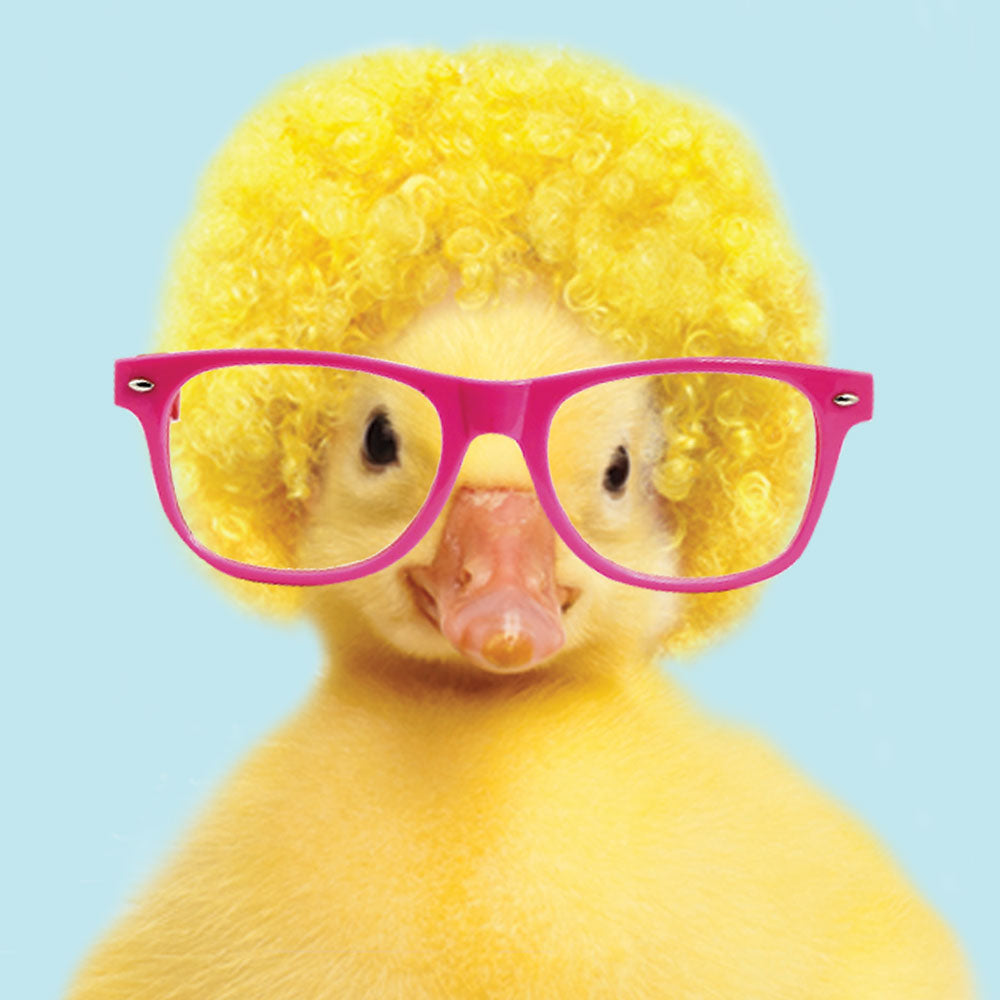 Coco-Loco Cute Yellow Chick Giant Glasses Blank Greeting Card for Him/Her Tracks Publishing