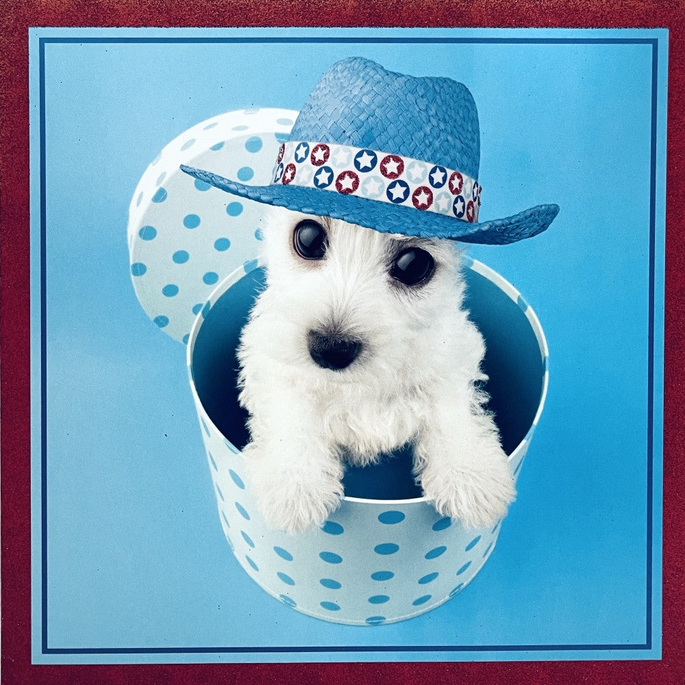 Highland White Terrier Puppy Dog in Hat Box Glitter Finish Extra Large Birthday Greeting Card (C1908)