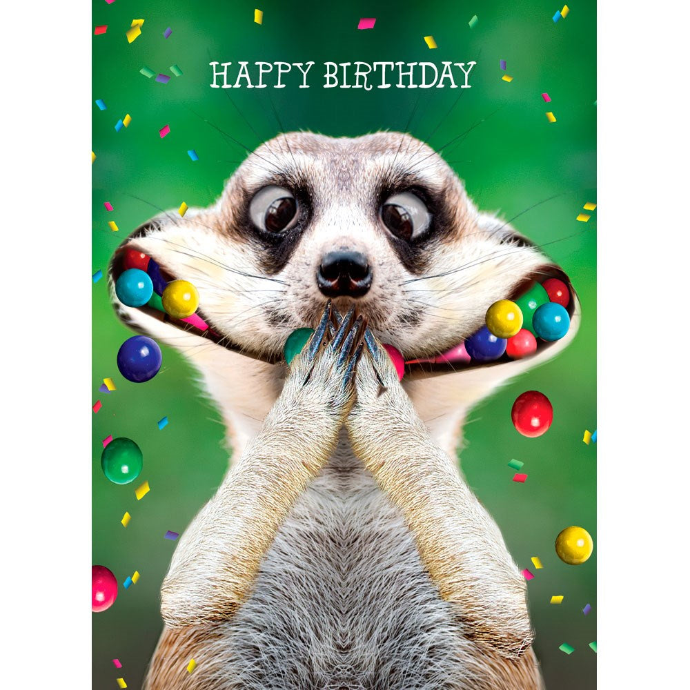 Happy Birthday Meerkat Stuffing Candy Sweets Gloss Photo Finish EXTRA LARGE Greeting Card - Tracks