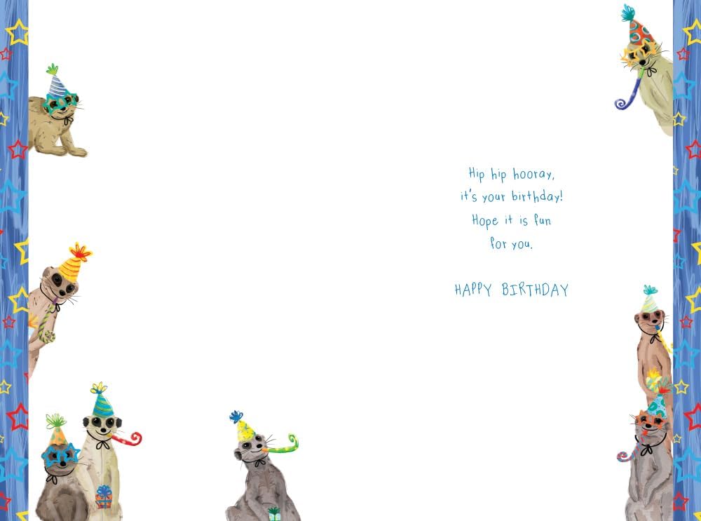 Grandson 8th Birthday Card Age 8 Meerkats Party Fun Printed Insert Lovely Verse