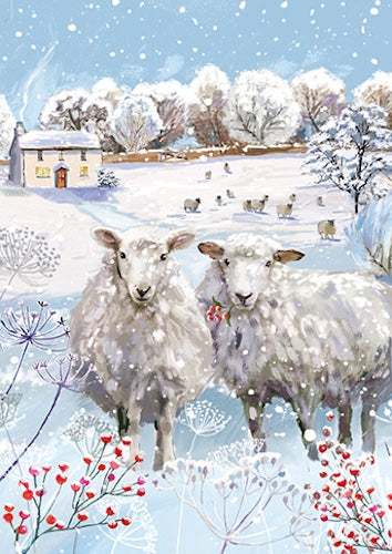 WINTER WILDLIFE Premium Box of 24 Assorted Christmas Cards - 3 Each of 8 Designs - Great British Card Company