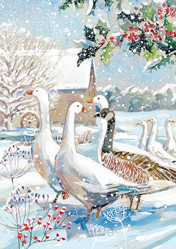 WINTER WILDLIFE Premium Box of 24 Assorted Christmas Cards - 3 Each of 8 Designs - Great British Card Company