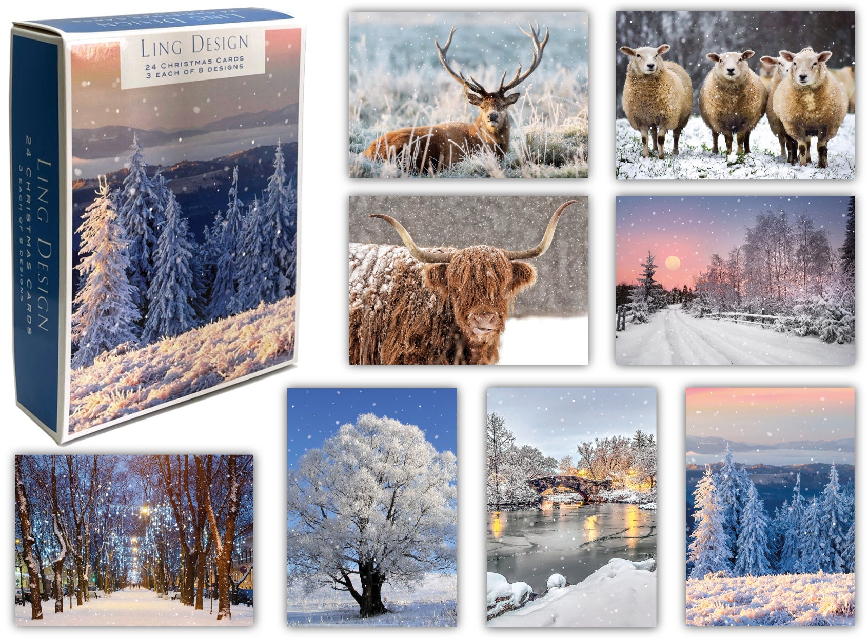 Sunning Photographic Winter Scenes Premium Box of 24 Assorted Christmas Cards - 3 Each of 8 Designs - Great British Card Company