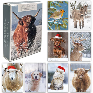 Photographic Festive Animals Premium Box of 24 Assorted Christmas Cards - 3 Each of 8 Designs - Great British Card Company