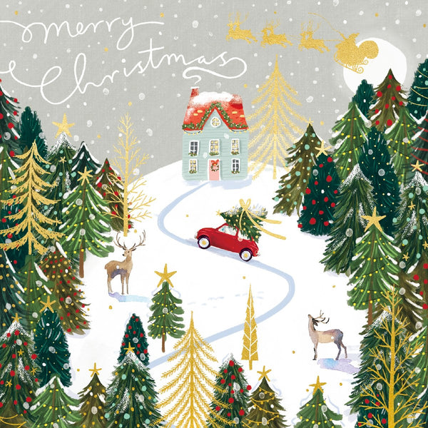 Winter Scenes