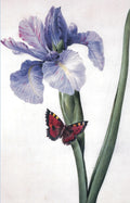 Irises Blank Notecard Pack by Fitzwilliam Museum (2 each of 5 designs)