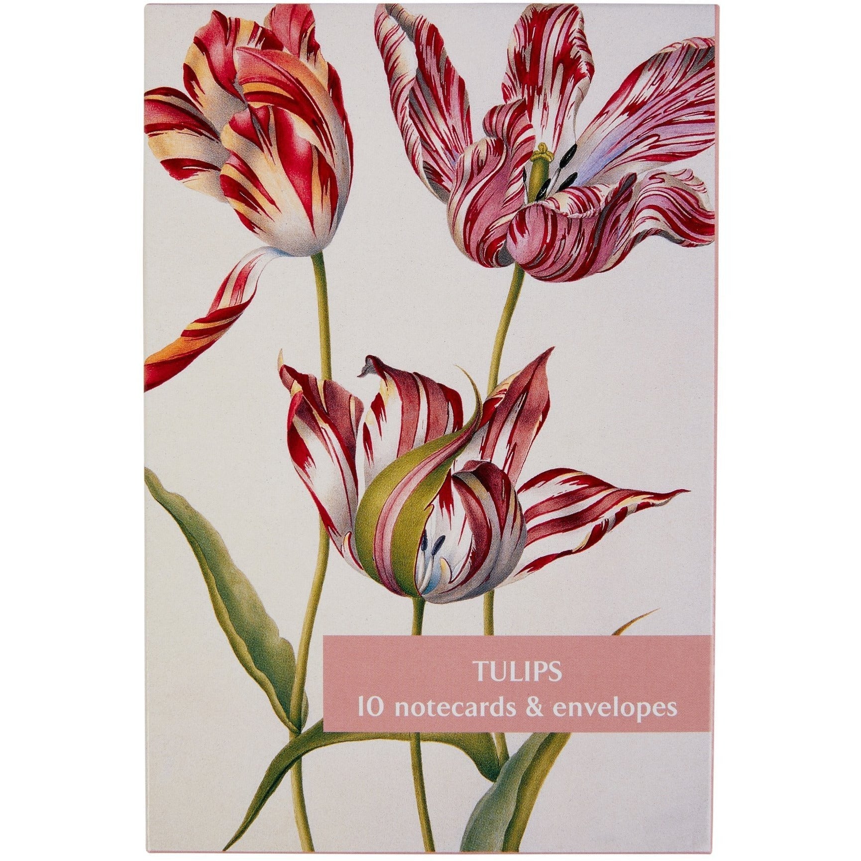 Fitzwilliam Museum Tulips - Broughton Collection - Pack of 10 Blank Notelets Greeting Cards (2 Each of 5 Designs)