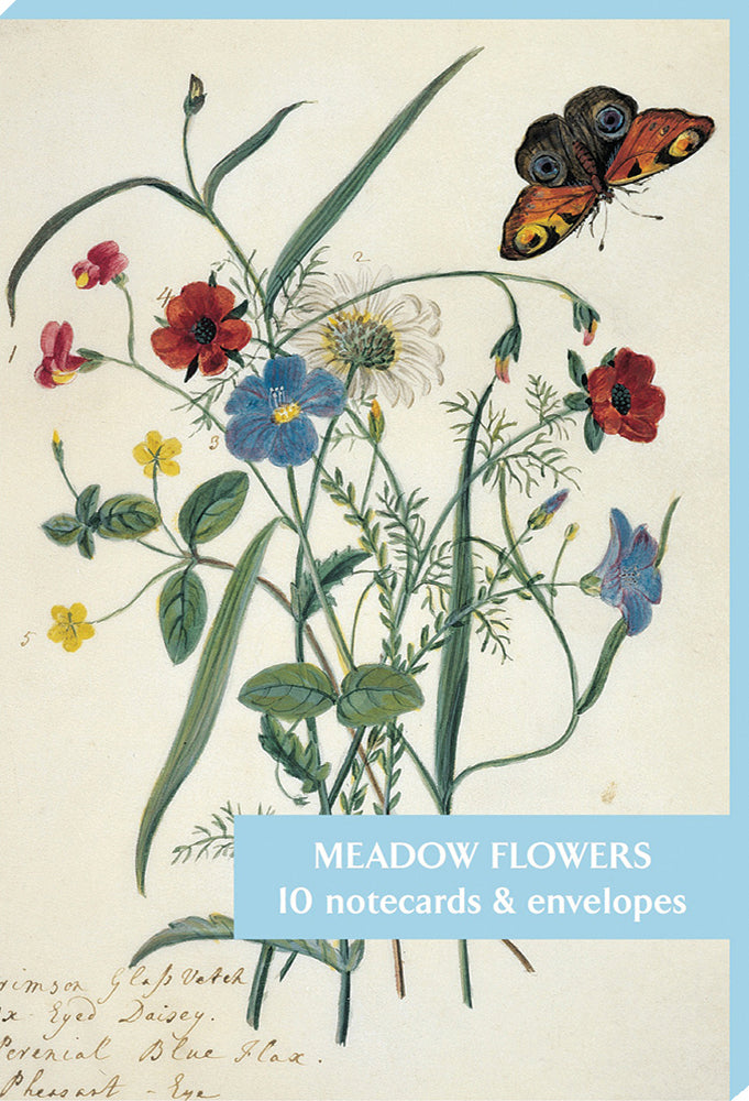 Meadow Flowers Blank Notecard Pack by Fitzwilliam Museum (2 each of 5 designs)