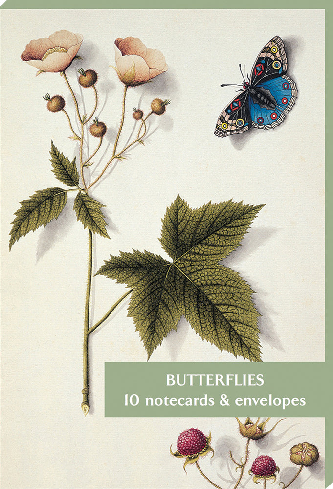 Butterflies Blank Notecard Pack by Fitzwilliam Museum (2 each of 5 designs)