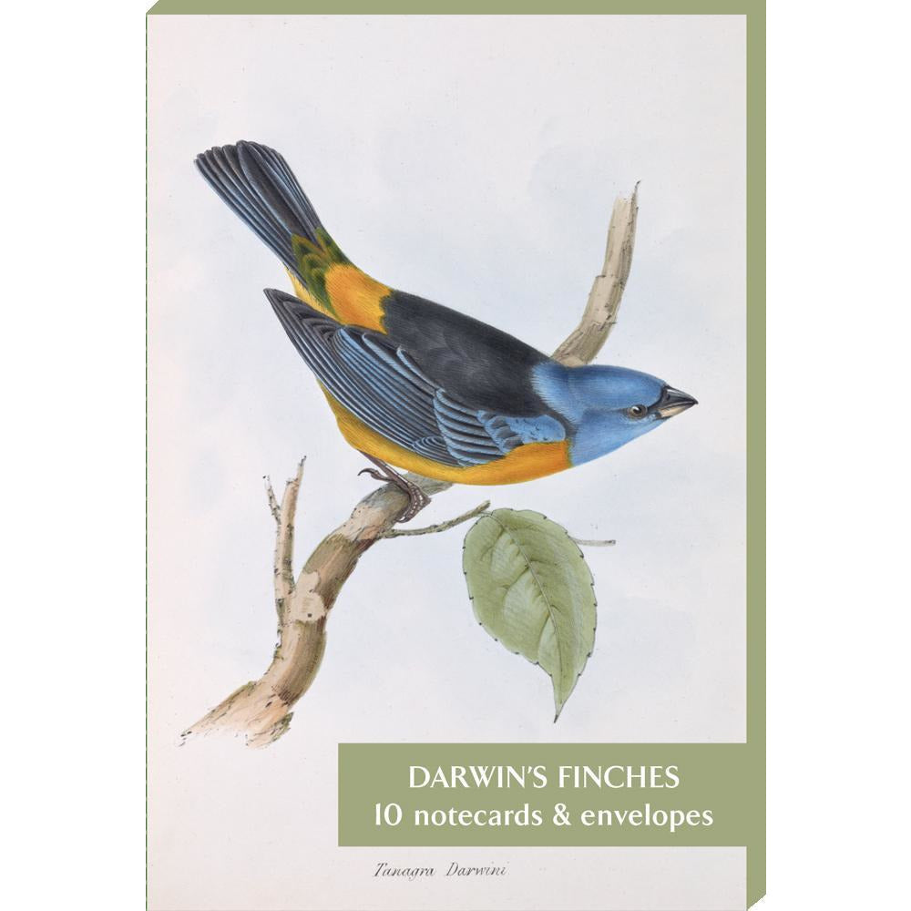 Darwin's Finches - Pack of 10 Notecards (2 each of 5 Designs) - Blank Greeting Cards by Fitzwilliam Museum Cambridge