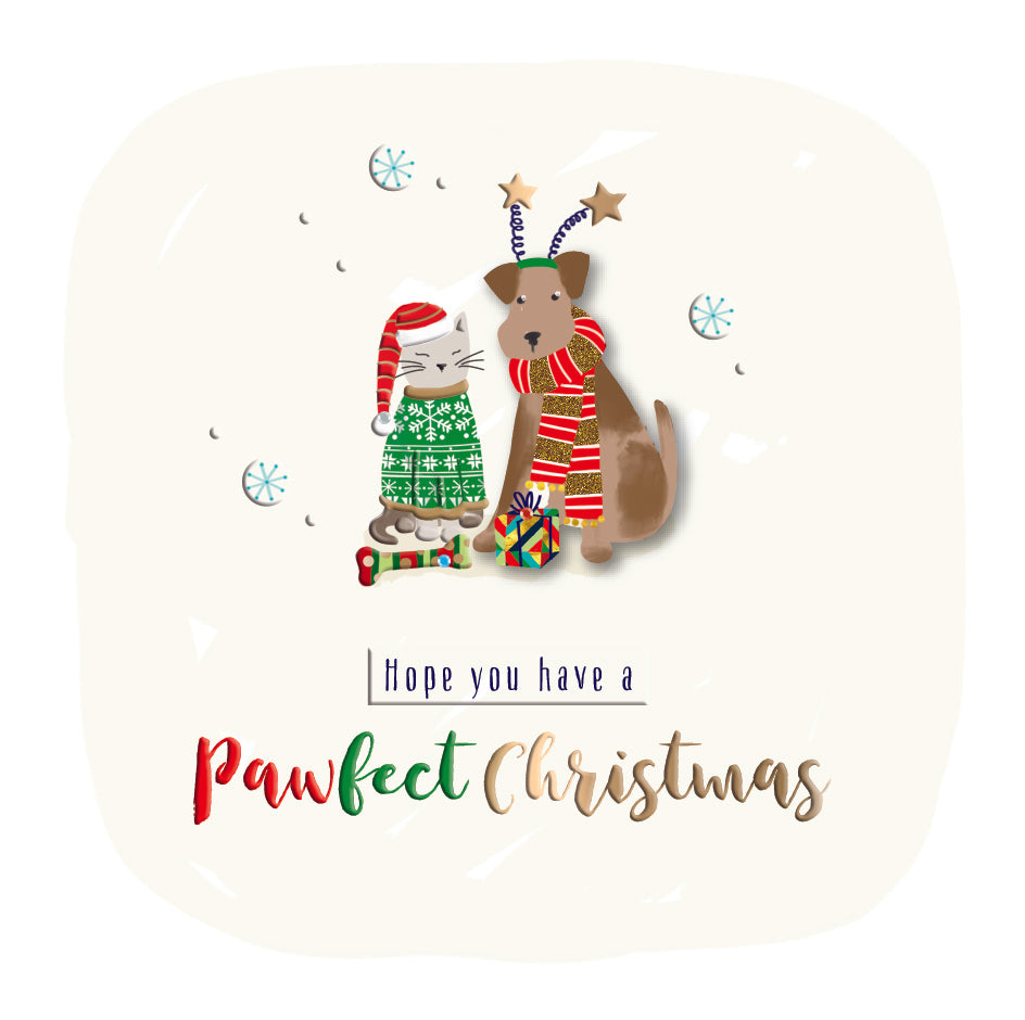 Pawfect Christmas Cat & Dog Pet Luxury Handmade 3D Greeting Card By Talking Pictures
