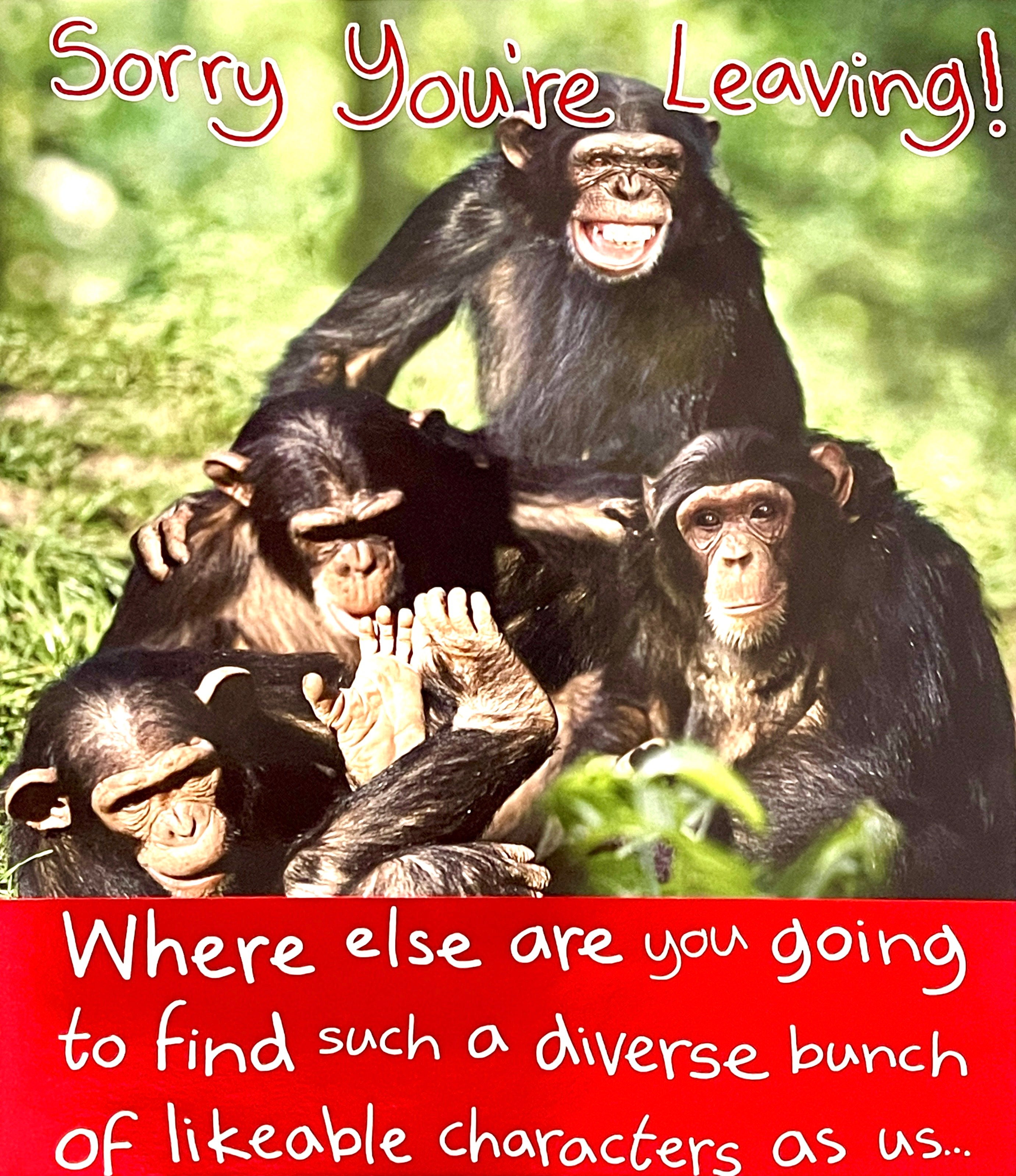 Sorry You're Leaving - Goodbye And Good Luck! Funny Humour Extra Large Greeting Card - Work Colleagues Diverse Bunch Monkeys Chimp