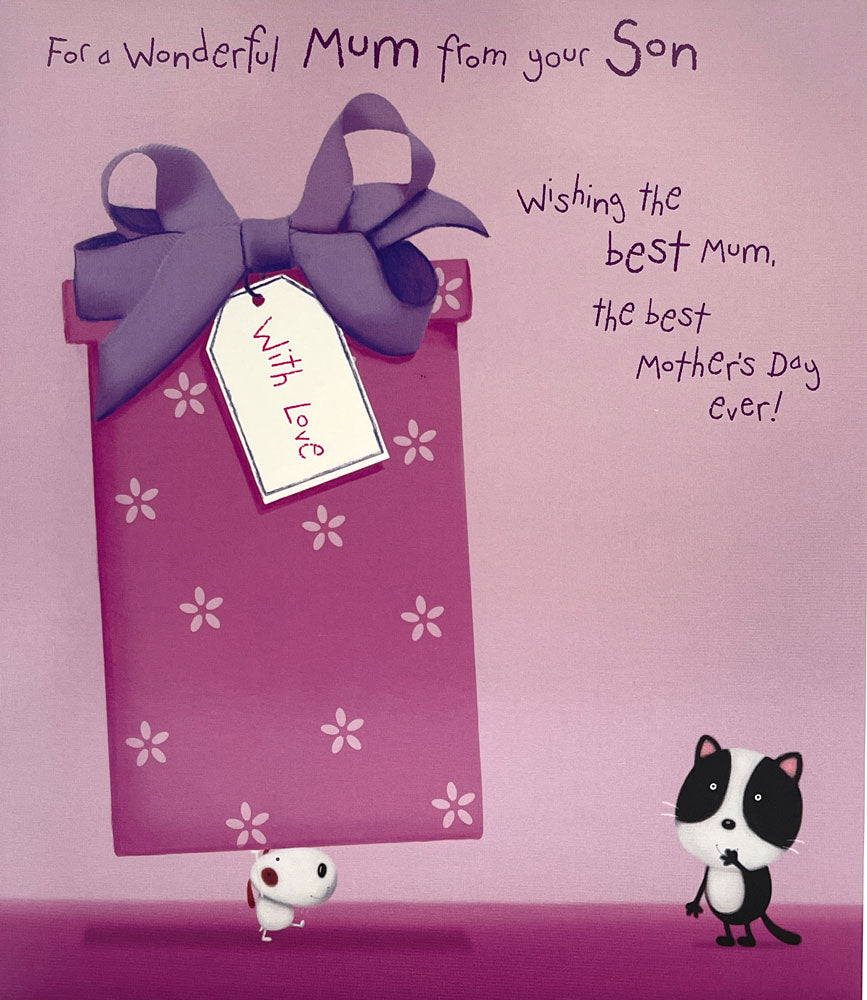 For A Wonderful Mum From Your Son Mothers Day Greeting Card Cat and Dog By UKG