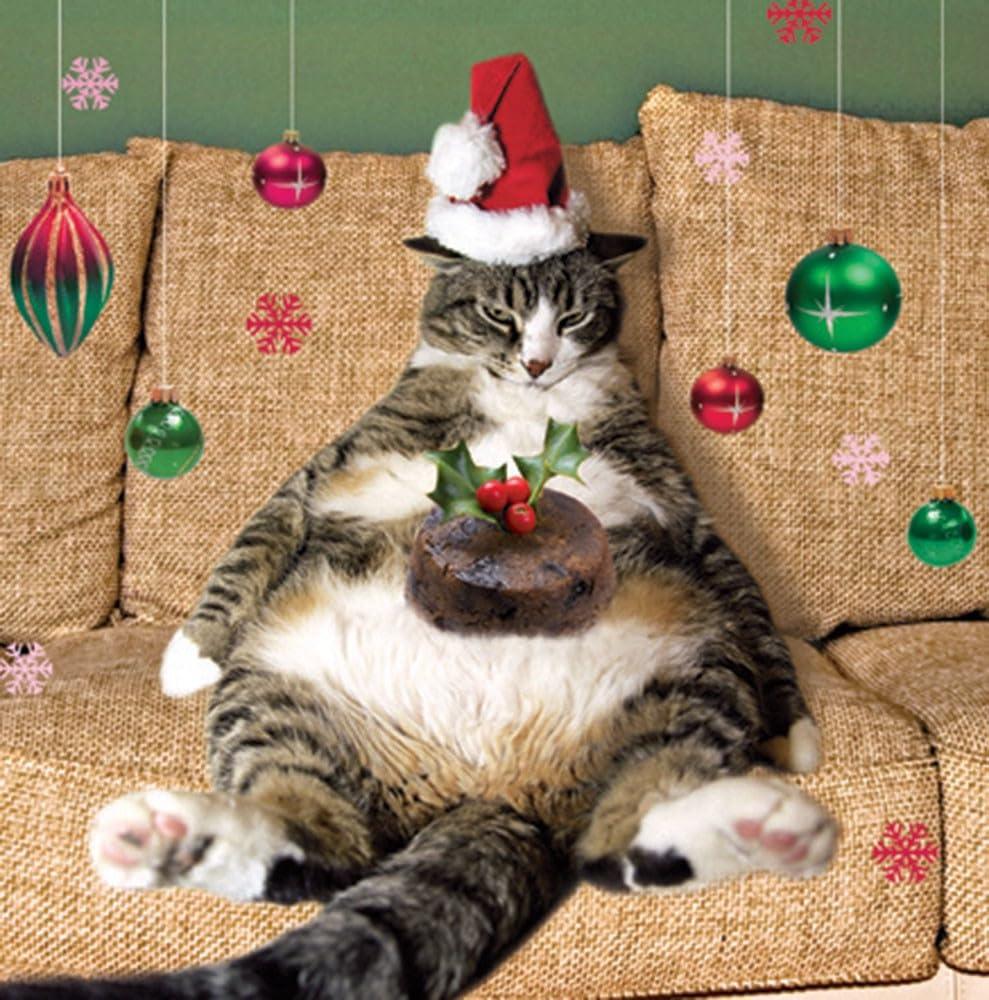 Fat Cat in Santa Hat on Sofa with Festive Pudding - Pack of 5 Charity Christmas Cards - Sold in Aid of Marie Curie Cancer Care