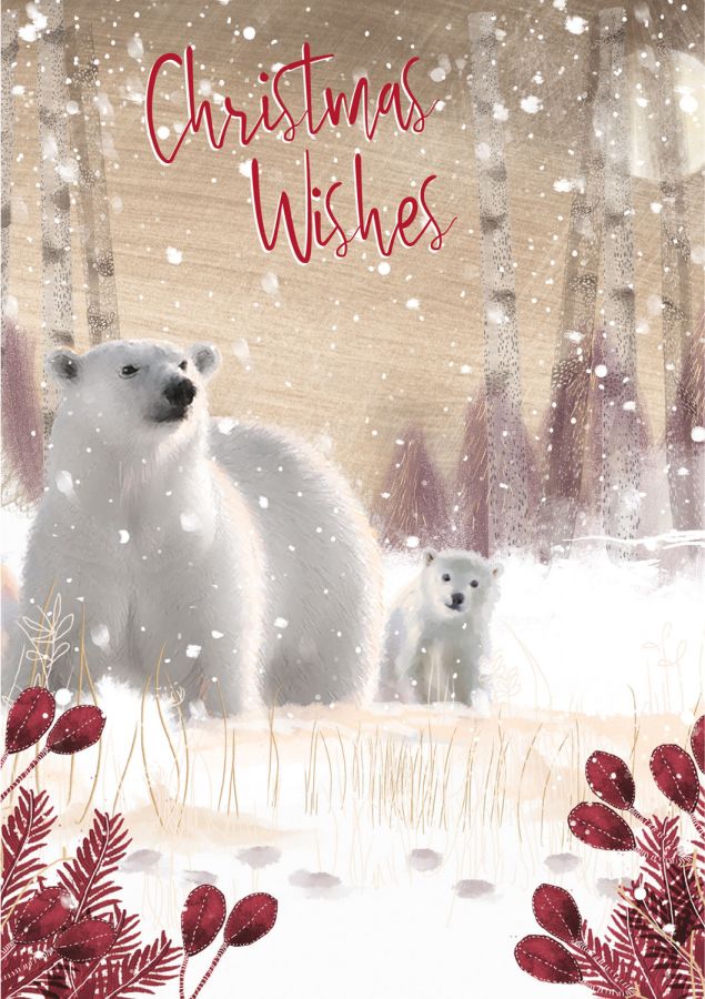 Into the Green Publishing 100% Plastic Free ECO Friendly Pack of 10 Xmas Christmas Cards with Envelopes (Polar Bear Family)