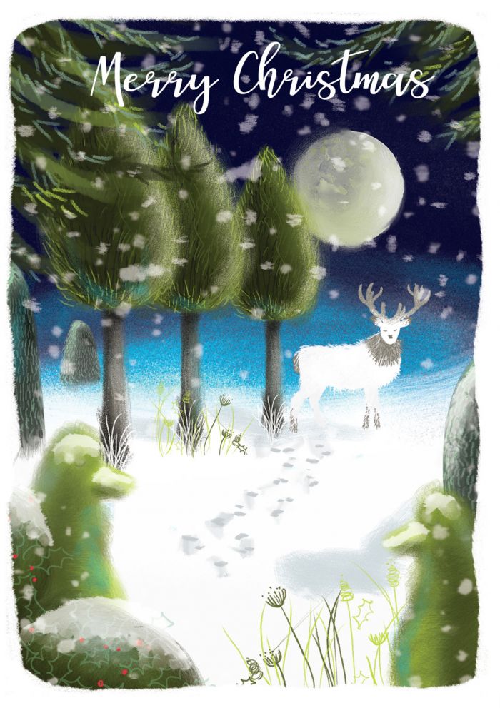 Into the Green Publishing 100% Plastic Free ECO Friendly Pack of 10 Xmas Christmas Cards with Envelopes (Reindeer in Moonlight)