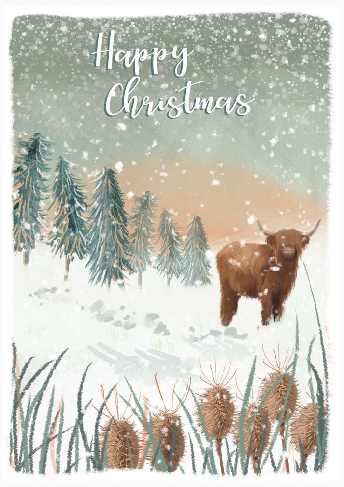 Into the Green Publishing 100% Plastic Free ECO Friendly Pack of 10 Xmas Christmas Cards with Envelopes (Bison in Snow)