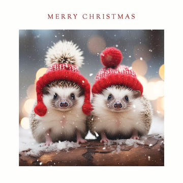 Snowy Hedgehogs in Hats - Cute Festive Design Pack of 5 Charity Christmas Cards
