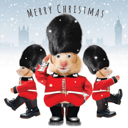 Hamster Queens Guard 3D Goggly Moving Eyes Christmas & New Year Greeting Card