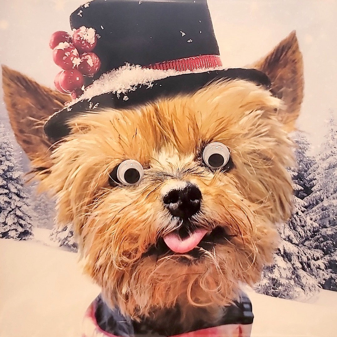 Yorkshire Terrier in Tophat Fun 3D Goggly Moving Eyes Christmas & New Year Greeting Card