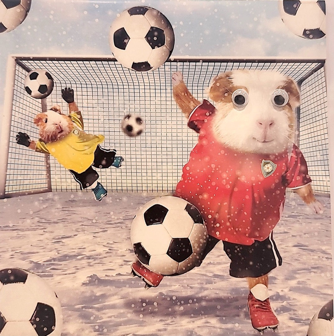 Hamster Goalie Training Practice 3D Goggly Moving Eyes Christmas Card