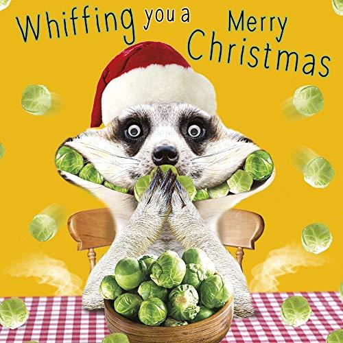 Meerkat 'Whiffing You a Merry Christmas' 3D Goggly Moving Eyes Christmas & New Year Greeting Card