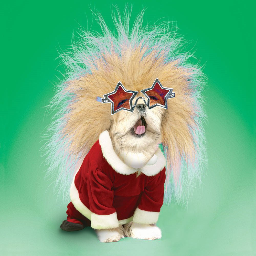 Rock Star Dog in Elton Glasses & Santa Costume Single Gloss Finish Xmas Christmas Card