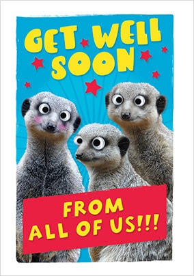 Get Well Soon From All Of Us Meerkats Long Greeting Card 