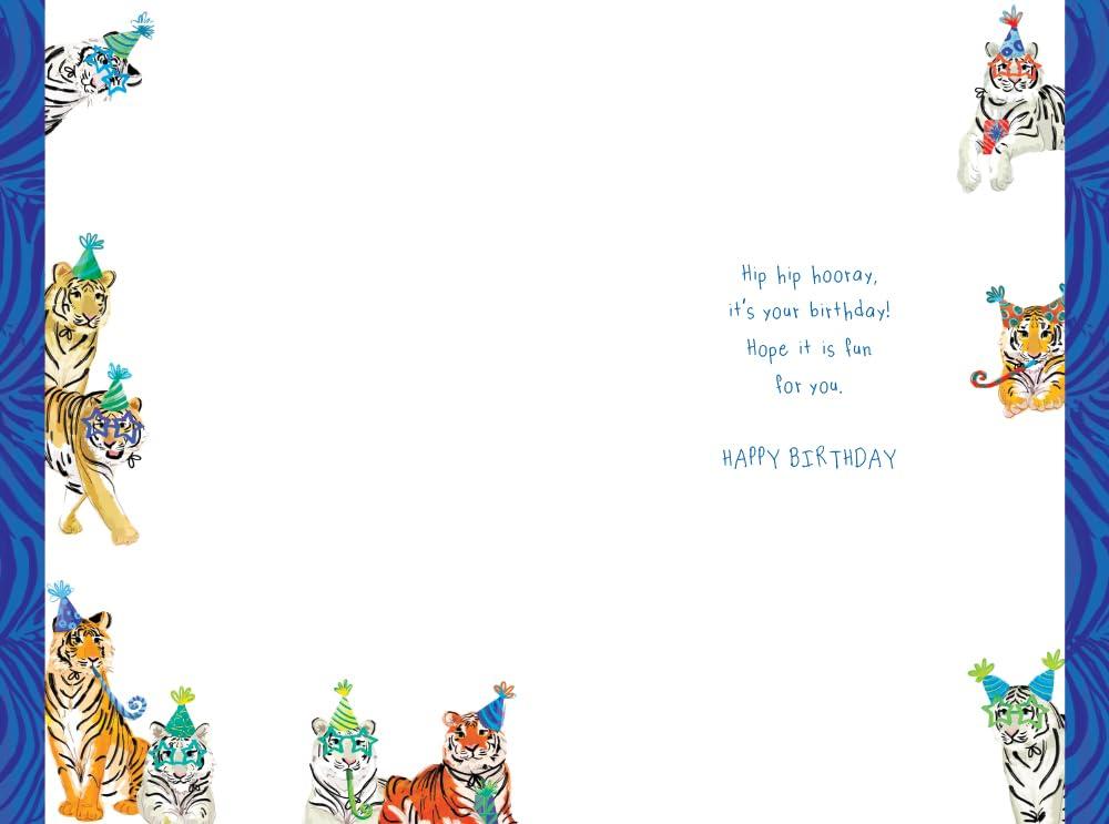 Great Grandson 10th Birthday Card Age 10 Tigers Fun Printed Insert Lovely Verse