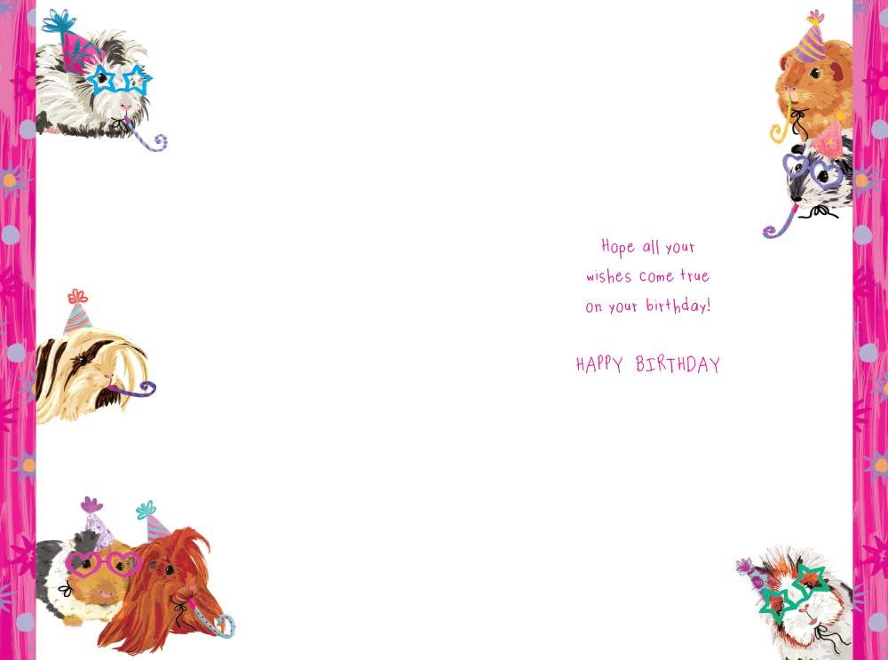 Granddaughter 7th Birthday Card Age 7 Guinea Pigs Printed Insert Lovely Verse