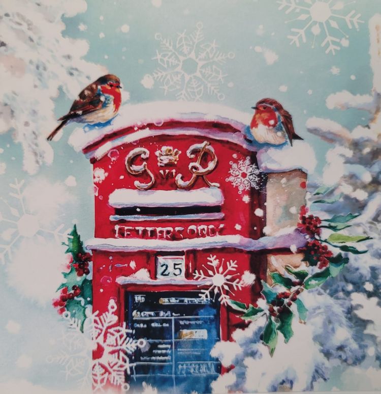 Robins on Red Letter Box Snow Single Charity Christmas and New Year Greeting Card