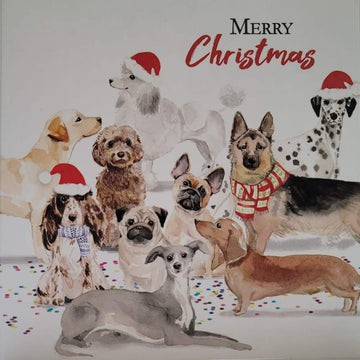 Merry Christmas To The Dog Glitter Special Christmas And New Year Tracks Greeting Card